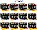 BIC Slim Cool Lighter 50PK