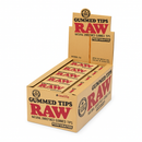 RAW Perforated Gummed Tips - 24 PACK