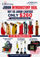 Jobon 20-Piece Lighter Deal + $89 FREE Stock